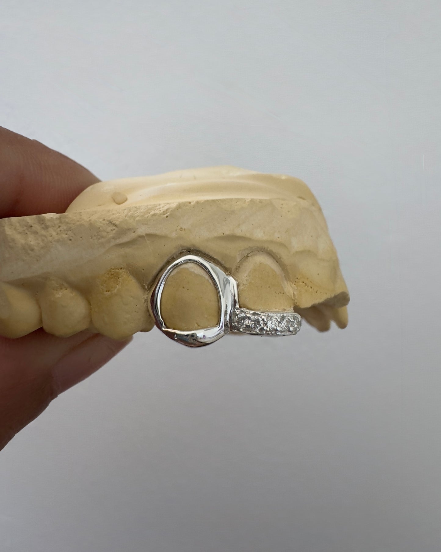 GRILL RETAIL BUSINESS STARTER KIT